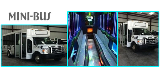 Best Party Bus in Houston TX | Houston Party Bus, 'SNG' Party Buses, The Woodlands Party Bus, Houston Party Buses